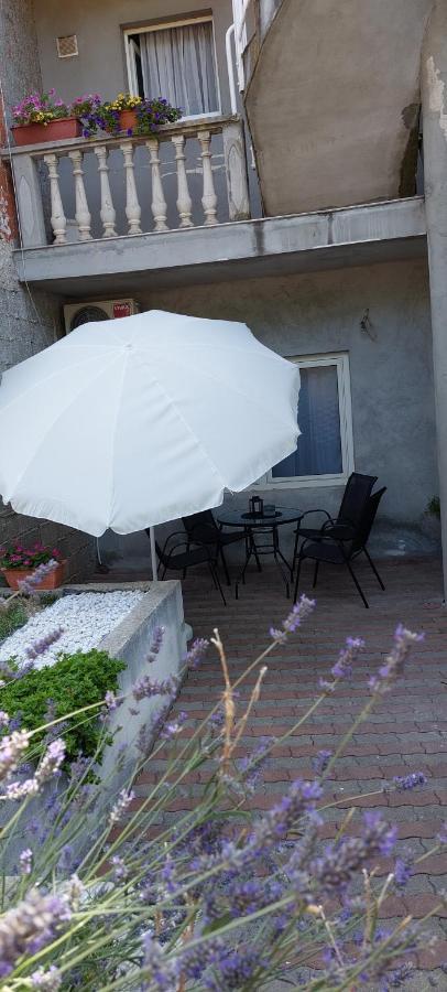 Apartman Marin - Zadar Exterior foto